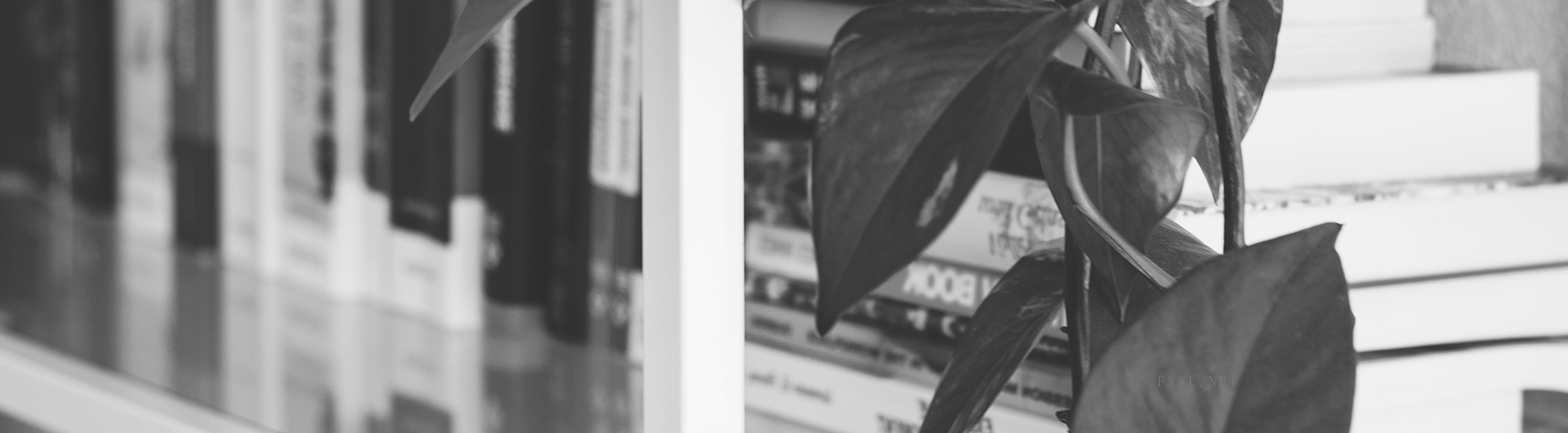 聯(lián)系深圳市智皓國際貨運代理有限公司